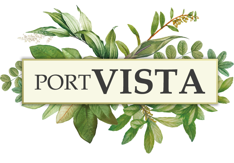 Port Vista Logo